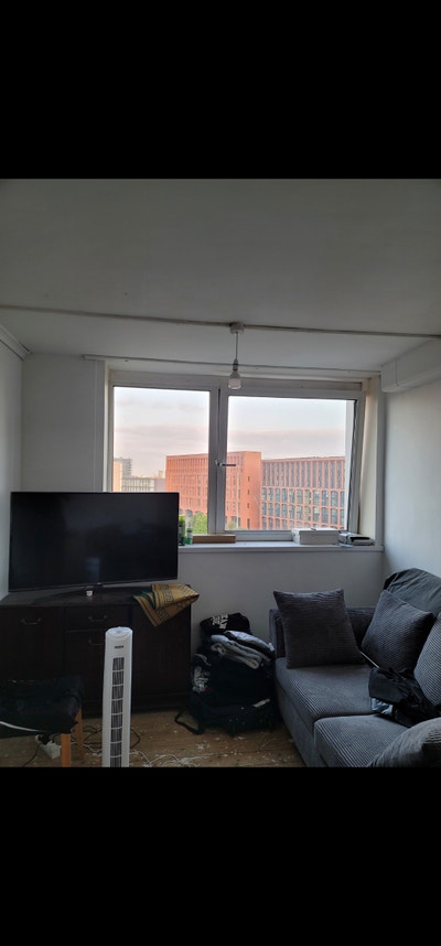 Looking for someone professional. Main Photo