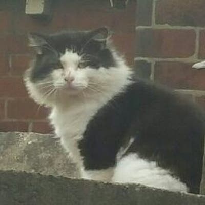 Quiet room wanted Main Photo