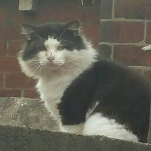 Quiet room wanted Main Photo