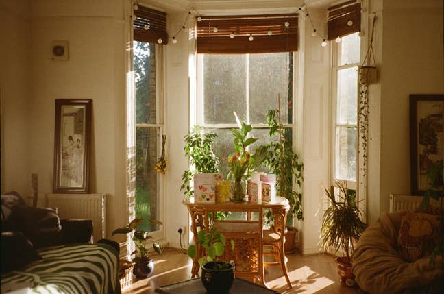 Gorgeous sunny large double room in Gipsy Hill  Main Photo