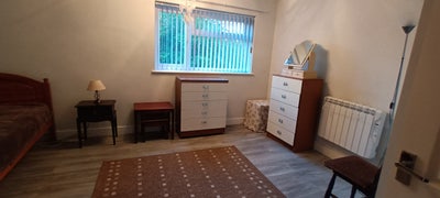 A double room is available for rent  Main Photo