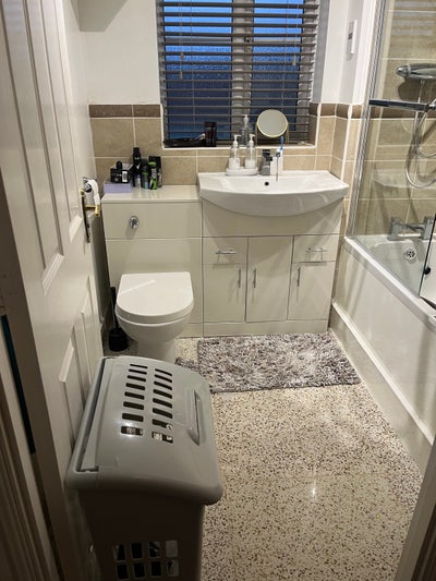 Female required in our house! Main Photo