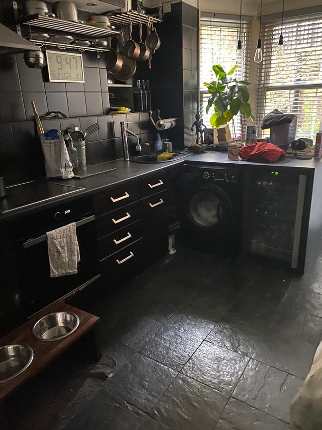 Monday to Friday Let Only  ( Must Like Dogs) Main Photo