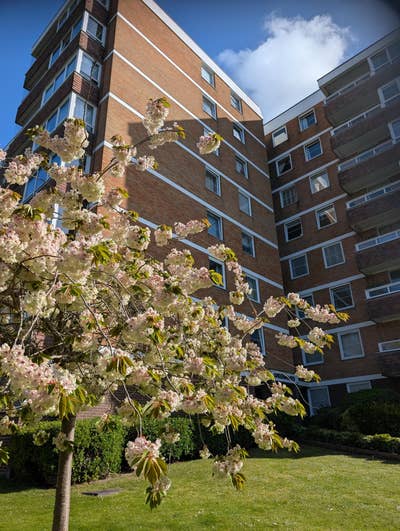 Spacious double bedroom in light and airy flat Main Photo