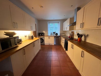 New housemate needed Main Photo