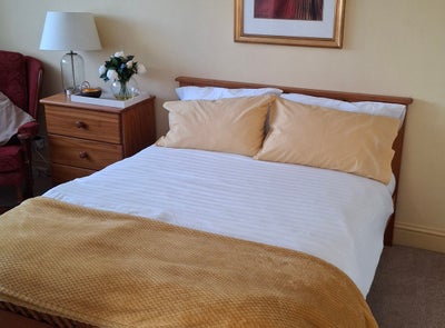 Immaculate professional house Main Photo