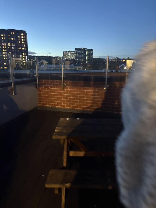 Apartment for 5 looking for girls aged 18-24 Main Photo