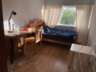 Sunny Double room for working persons Main Photo