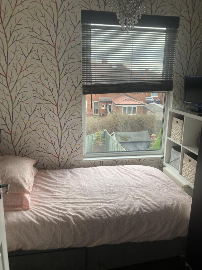 Single room  Main Photo