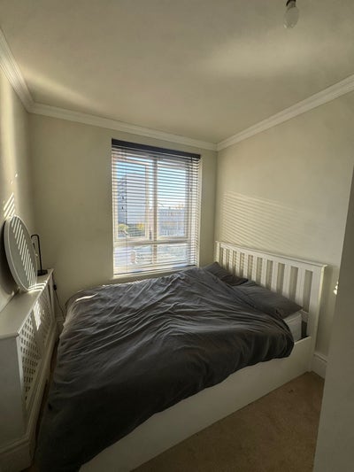Great Room Available in Stockwell  Main Photo