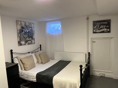 Guildford:Available Room in August Near Towncentre Main Photo
