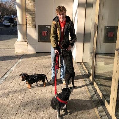 Room wanted Early May Main Photo