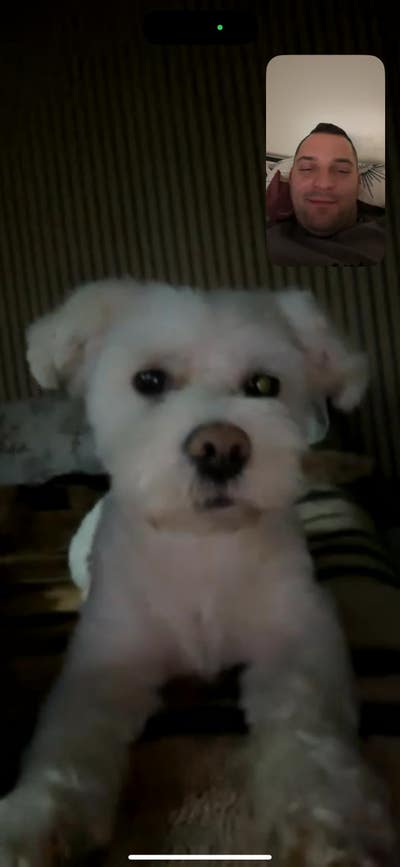 Room needed by professional couple Main Photo