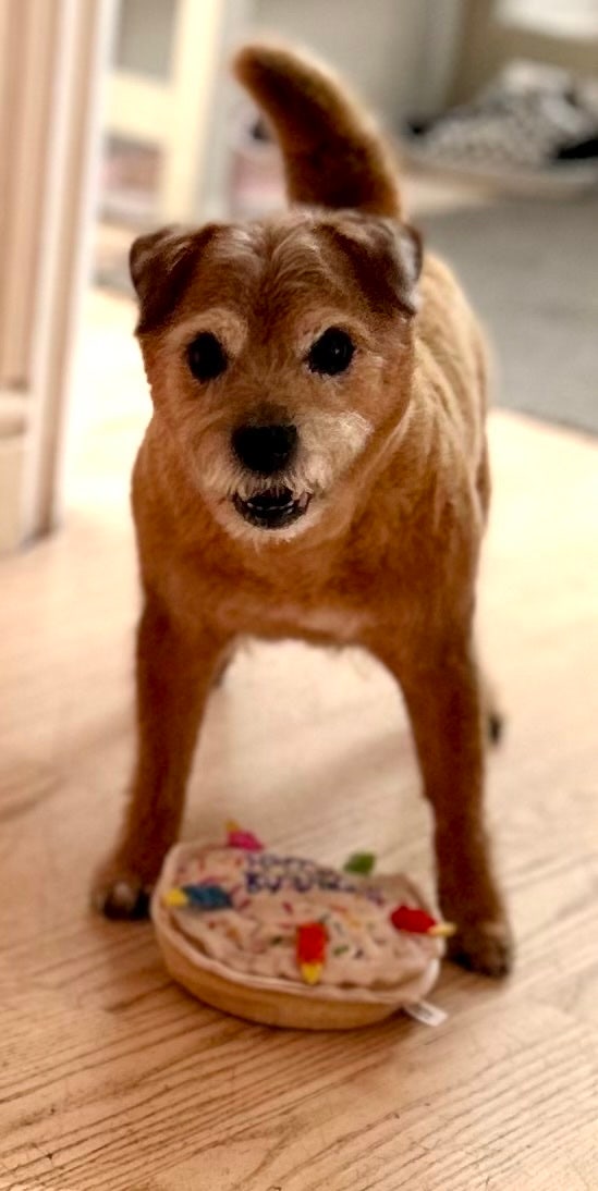 Just me and my Queen  Main Photo