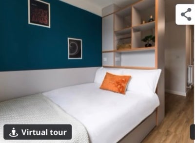 Student Studio in Brighton -Tenancy Takeover Main Photo