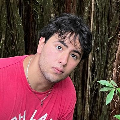 From Sept-Dec stay!! Looking for a room Main Photo