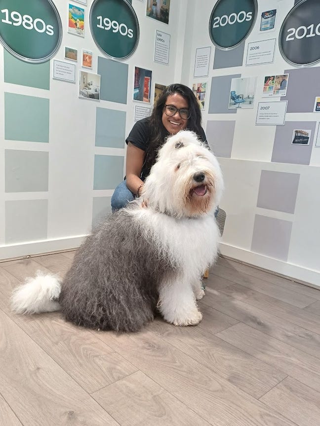 Professional female seeking social houseshare Main Photo