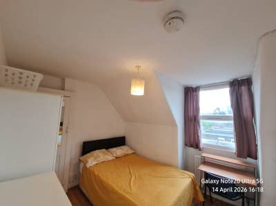 Double Rooms Availabl in Turnpike Lane  Main Photo