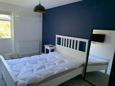 1 room available broadfield Main Photo