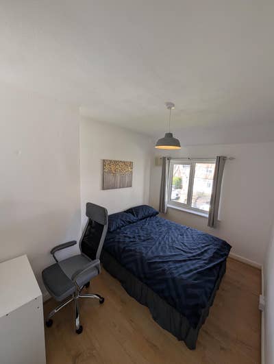 Room to rent in house with dog  Main Photo