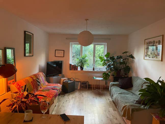 Amazing double room on Peckham Rye! Main Photo