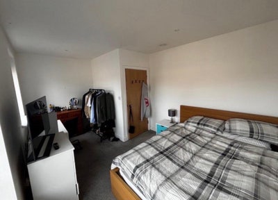 Room available in a sociable house in the Werbs! 🪴 Main Photo