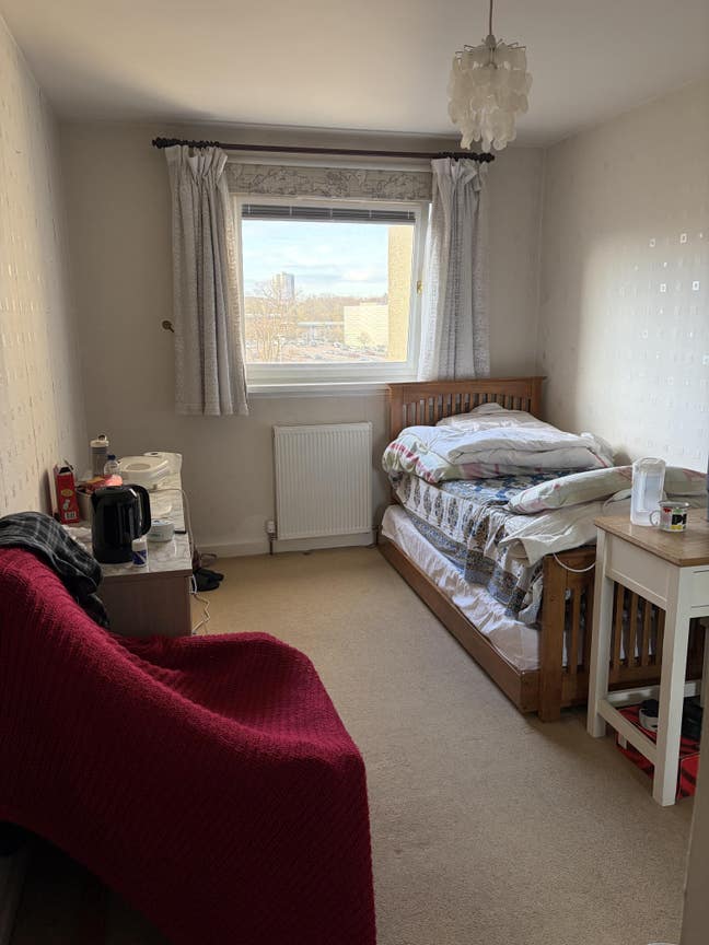 Double room for rent close to ARI Main Photo