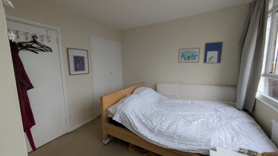 Friendly Flat in Putney Main Photo