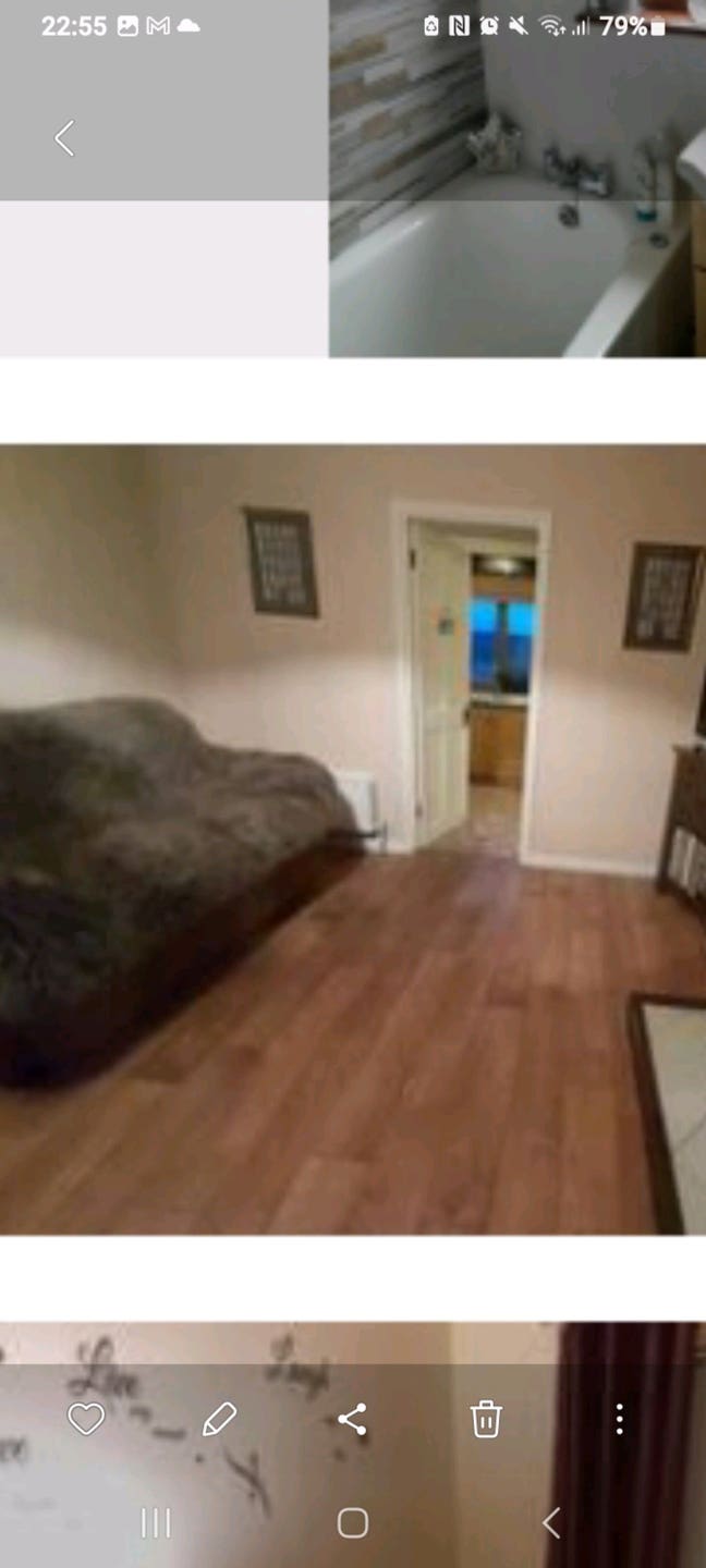 The Bluebell Main Photo