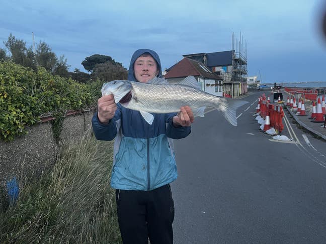 21 year old Male seeks a single or double room Main Photo