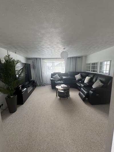 Lovely room in friendly house- available 1st of Ma Main Photo