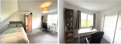 5 person house, one rooms available Main Photo