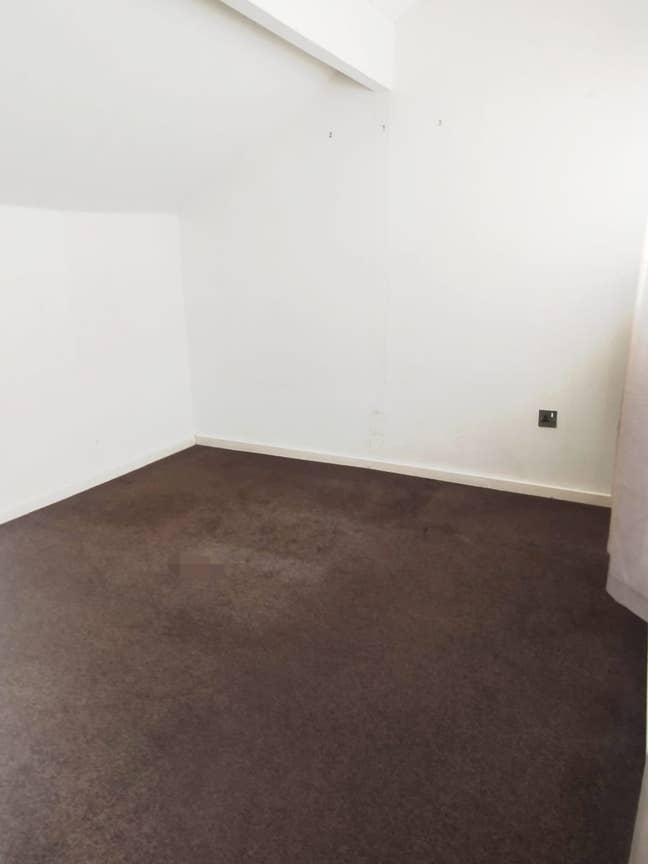 Large single room  Main Photo