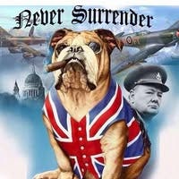 Professional Male seeks a double room Main Photo