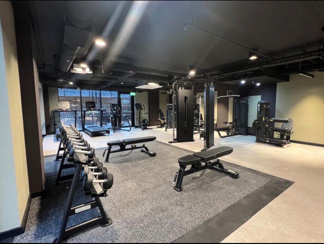 A Female Roommate Needed  Main Photo