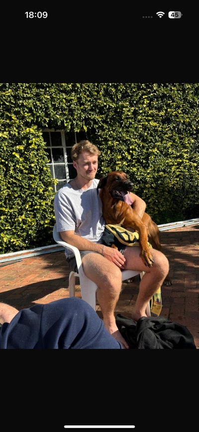 Looking for a flatmate  Main Photo