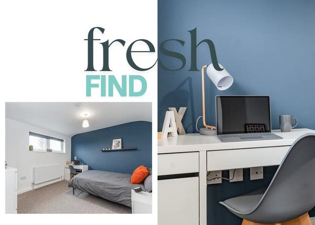 Lovely Room in a Great Houseshare Main Photo