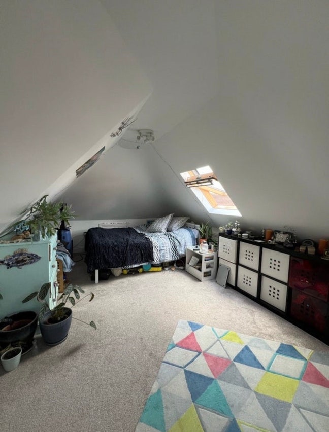 Large Stunning Room in White City! Main Photo