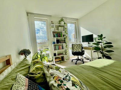 Must see bright double room in amazing 2 bed flat  Main Photo