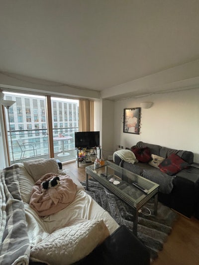 Female flatmate wanted  Main Photo