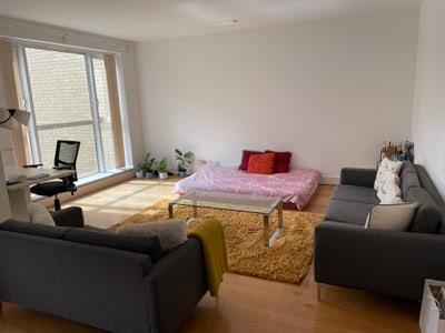 2 bed 2 bath Apartment available for rent Main Photo