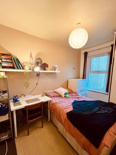 🐞Room Available in Our Cozy North London Flat!🐛 Main Photo