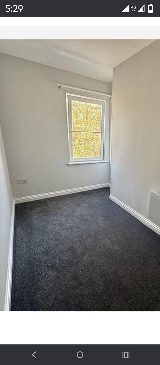 Roos available Eastville Bristol  Main Photo