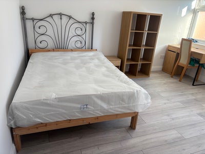 1 Single room for rent  Main Photo