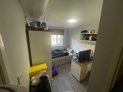 Looking for tenant  Main Photo