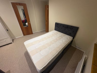 Double Room - 2 weeks in November, bills included  Main Photo