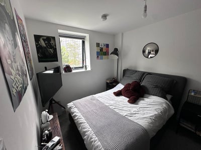 1 Room in 2 Bed Flat available in June Main Photo