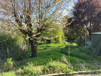 Lovely room available in quiet house in Rodmell Main Photo