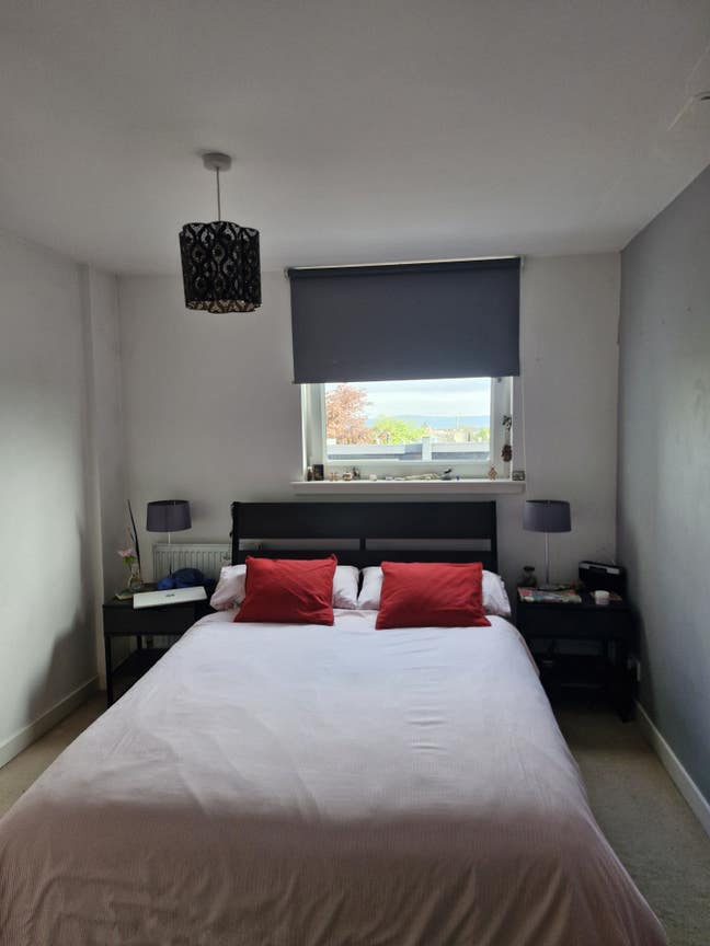 Seeking female flatmate to share my apartment ith Main Photo