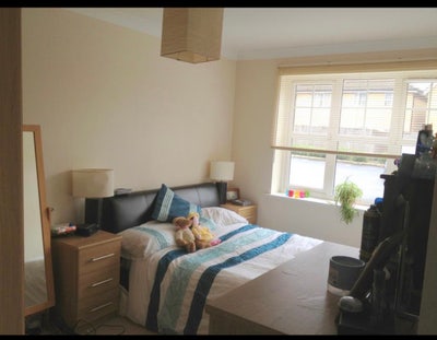 Spacious room for single or couple Main Photo